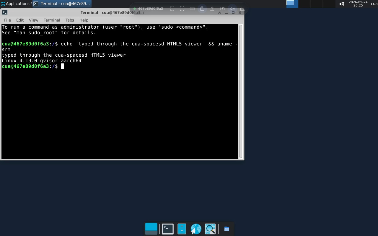 The viewer showing a sandbox's XFCE desktop with a terminal open