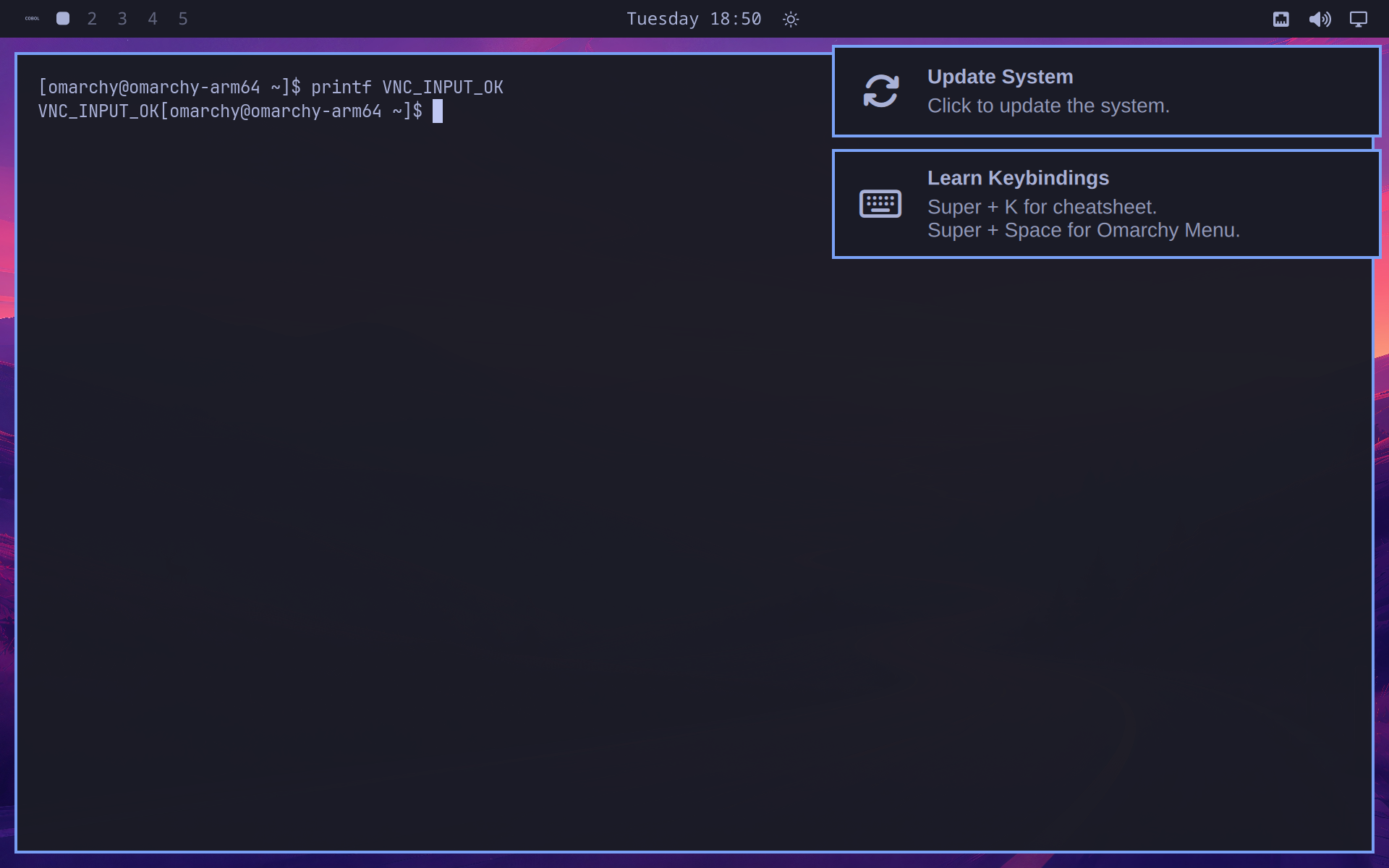 Text entered into Foot through the Lume VNC display